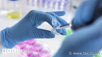 Scientists grow whole model of human embryo, without sperm or egg