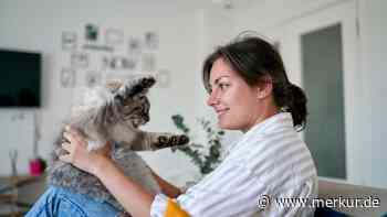 „Mama“: Katze antwortet ihrem Frauchen – und sorgt so für schockverliebte TikTok-Nutzer