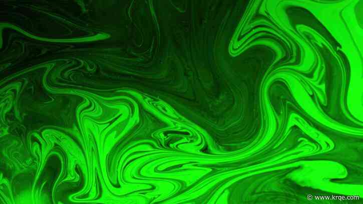 NJ business owner arrested for using drone to drop green dye in nearby pools