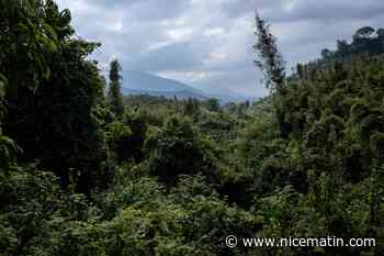 Dix corps retrouvés dans la fosse d'une cuisine, certains étaient dissous: un tueur en série présumé arrêté au Rwanda