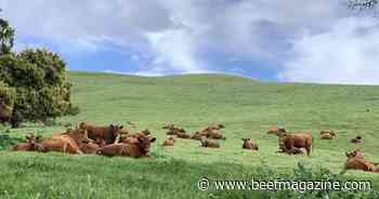 Producer profitability initiative seeks to spark conversation, unite industry