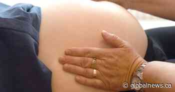 No action on report calling for expansion of N.B. midwifery services, committee hears