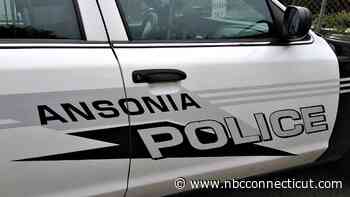 Ansonia police officer shoots at dog that came toward him during call: PD