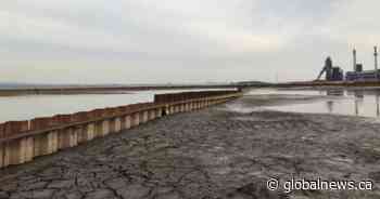 Third and final stage of Hamilton Harbour’s Randle Reef restoration about to begin