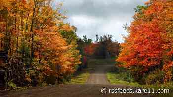 Looking for autumn? The DNR's fall color finder is live for the season
