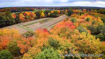 Peak fall foliage likely to look different in 2023 due to continued drought