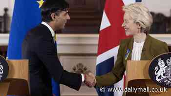 Britain is poised to rejoin the EU's flagship Horizon science scheme after Rishi Sunak gives green light to finalise a deal despite tensions over the price of paying to going back to the £85billion research regime