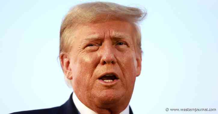 Trump Ally to Flip to Cooperate with DOJ, Implicate 45 in Potential Crime - Report