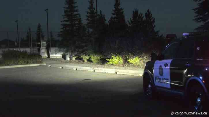 Victim of fatal stabbing in Copperfield identified; suspects remain at large