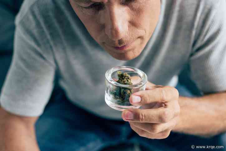 Albuquerque city councilor pulls proposed limits to personal cannabis production