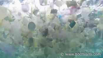 ‘All these islands are full of trash': Activists take hands-on approach to clean our beaches