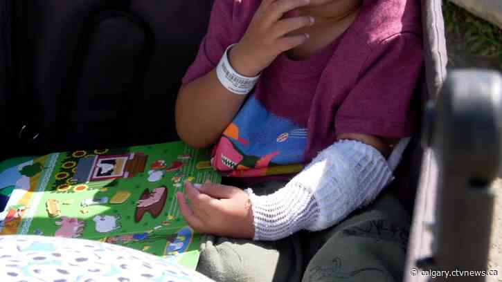 96 E. coli cases linked to outbreak at Calgary daycares; 22 children in hospital: AHS