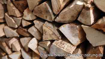 Große Preisunterschiede bei Kaminholz    