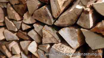 Große Preisunterschiede bei Kaminholz