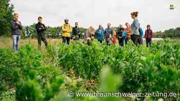 „Convenience-Lifestyle“ bedroht solidarische Landwirtschaft