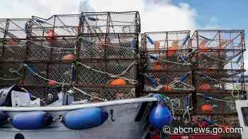Alaska fishers fear another bleak season as crab populations dwindle in warming waters