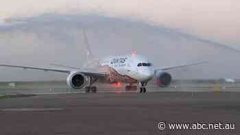 Latest Qantas cuts to Alice Springs has NT minister welcoming Alan Joyce's departure