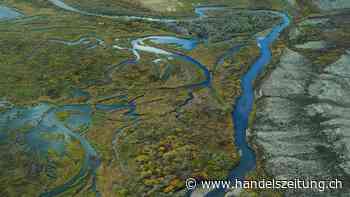 US-Regierung stoppt Ölbohrprojekte im Norden Alaskas