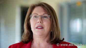 Catherine King says airfares 'will come down' as other airlines increase capacity