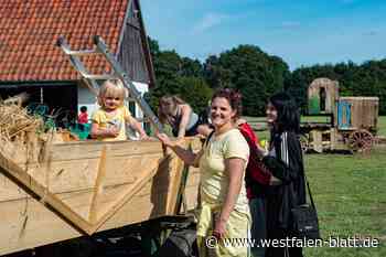 Stemwede: „Mühlen-Pickert“ ist heiß begehrt