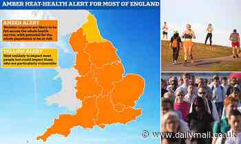 Heatwave health alert: 'Deadly' 30C temperatures to trigger 'hundreds' of fatalities in UK this week, experts warn