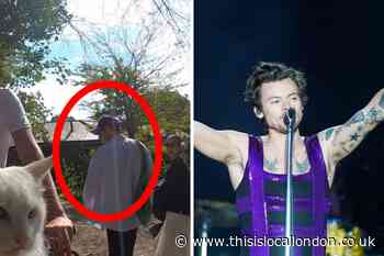 Cyclist videos Harry Styles walking on Hampstead Heath