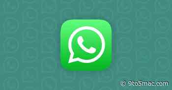 WhatsApp to let users disable new Instant Video Message feature