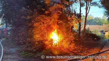 Wolsdorf: Hochspannungskabel brennt im Wald