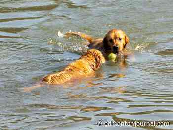 Edmonton weather: Here comes the sun, and I say it's all right