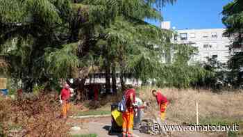 Blitz a Tor Bella Monaca, in azione anche gli operatori dell'Ama per ripulire il quartiere