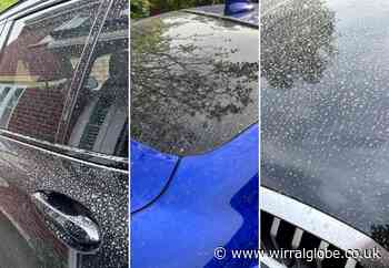 Saharan dust covers car in Wirral following overnight sand storm