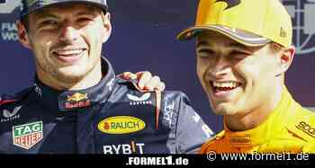 Helmut Marko: "Lando Norris wäre ein Kandidat für uns", aber ...