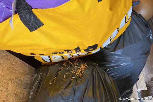 Protest Nielenaren loont: opnieuw wekelijkse afvalophaling in zomer van 2024