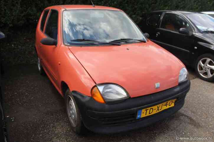 Fiat Seicento (1998) - Liefhebber Gezocht