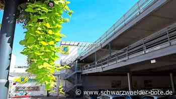 Parken in Nagold: Waldachpassage ab Samstag wieder offen