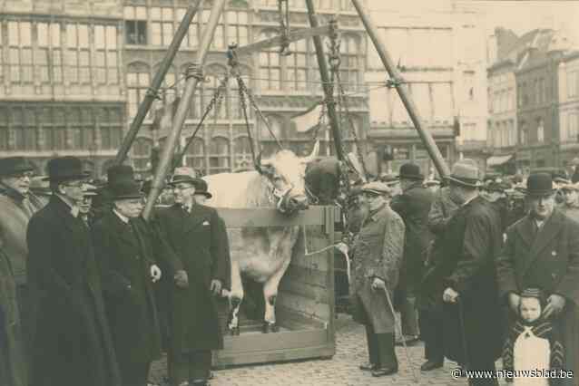 De Vetten Os is terug van weggeweest, maar nu met mensen op de weegschaal