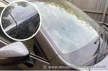 Why East Lancashire cars are covered in Saharan dust today