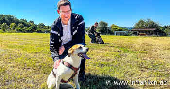 Coburg: Eine Wiese zum freien Herumtollen - Stadt eröffnet Hundewiese in Bertelsdorf