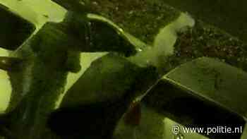 Arnhem - Gezocht - Brandstichting – Vijverlaan – Arnhem