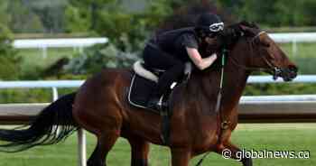 Marquis Downs advocate says ‘everybody lost’ with Saskatoon soccer stadium construction halt