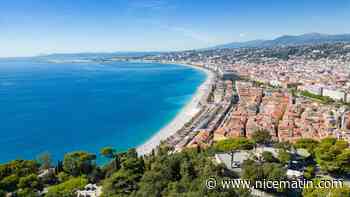 Une newsletter 100% nissarde? Votez pour choisir le nom!