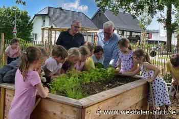 Kinder der Grundschule St. Walburga Neuenheerse werden fit und stark