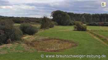 Umweltminister Meyer: Der Drömling bekommt ein Welt-Gütesiegel