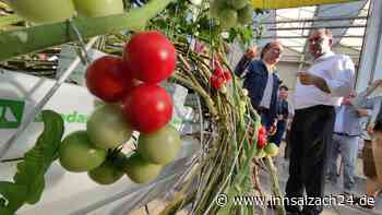 Eine Wärmflasche für die Gewächshäuser: Das hält Hubert Aiwanger von der Geothermie in Polling