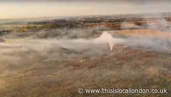 Havering Council emergency meeting over Rainham dump fires