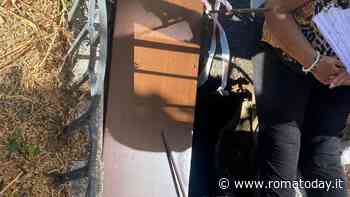 Anziana finisce dentro una voragine non segnalata. Vigili transennano il marciapiede