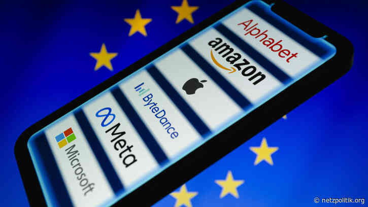 Digitale Gatekeeper: Einer fehlt im Club der Großen