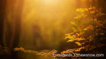 Fall foliage map 2023: See when Virginia's leaves will change colors