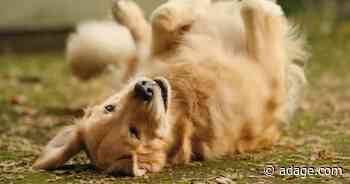 Watch the newest commercials from PetSmart, Quaker, Dave & Buster’s and more