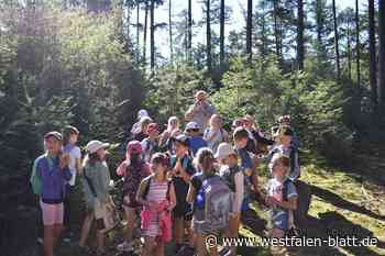 Schloß Holte-Stukenbrock: 420 Grundschüler entdecken den Wald an der Oerlinghauser Senne